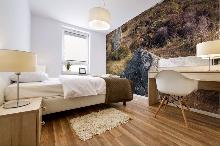 Pobull Fhinn Stone Circle Impression murale