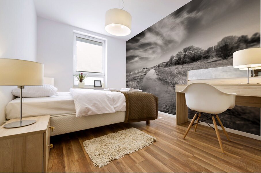 White Swan Impression murale