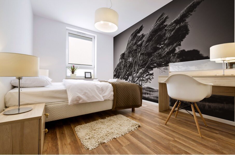 Windswept Trees Mural print