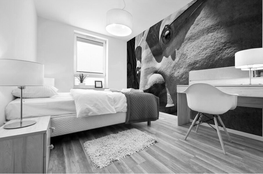 Stone Buddha Impression murale