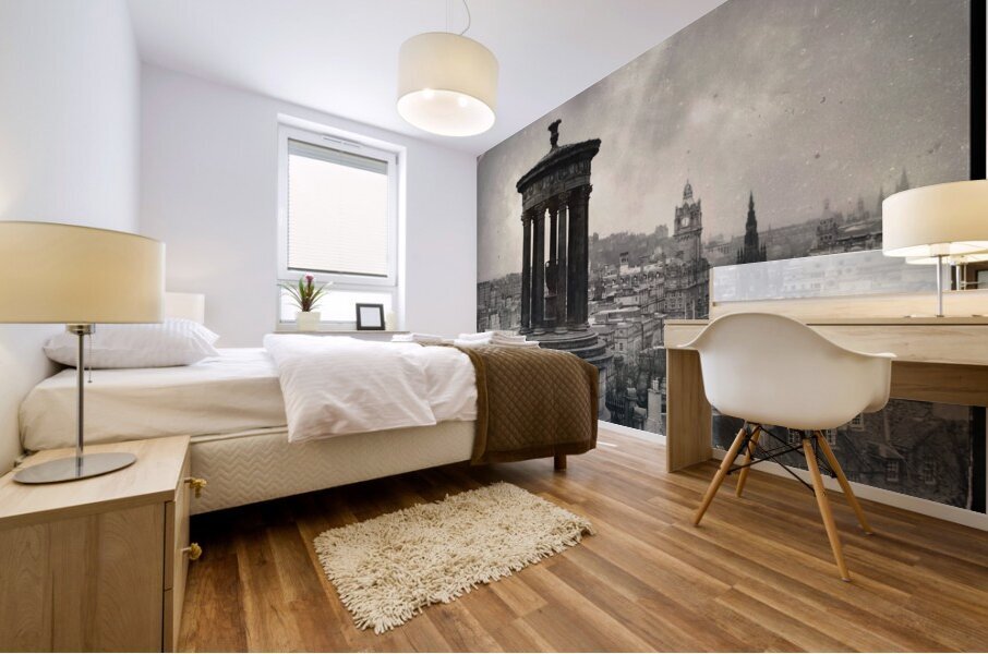 Edinburgh from Calton Hill I Mural print