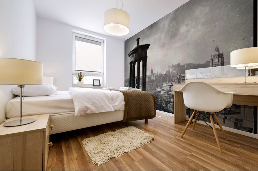 Edinburgh from Calton Hill II Mural print