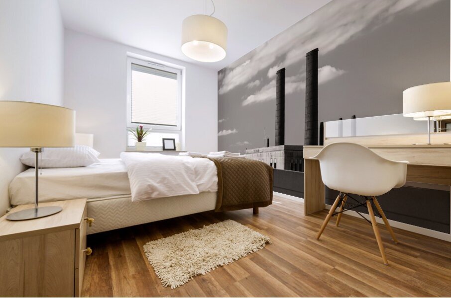 Union Station Power House Mural print