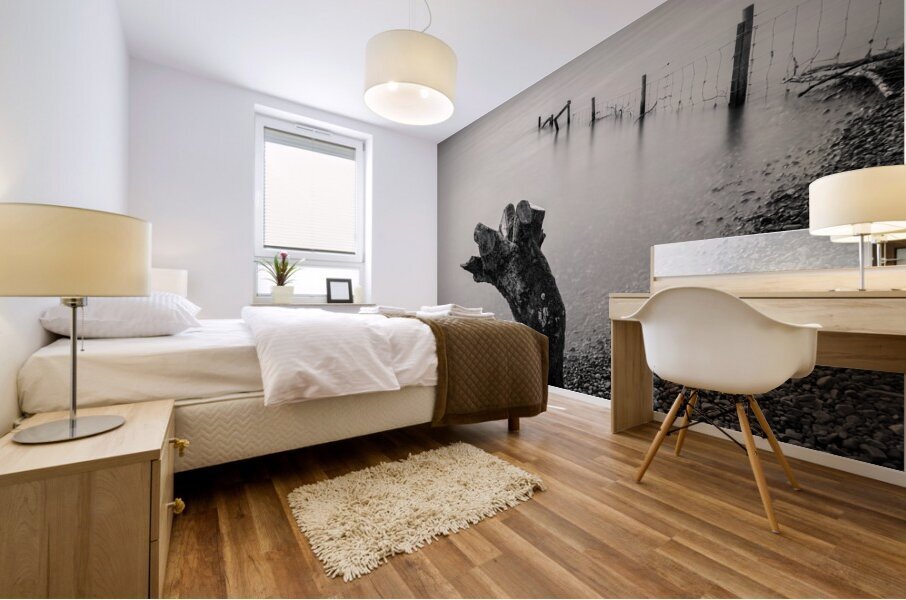 Limbless on Loch Rannoch Impression murale