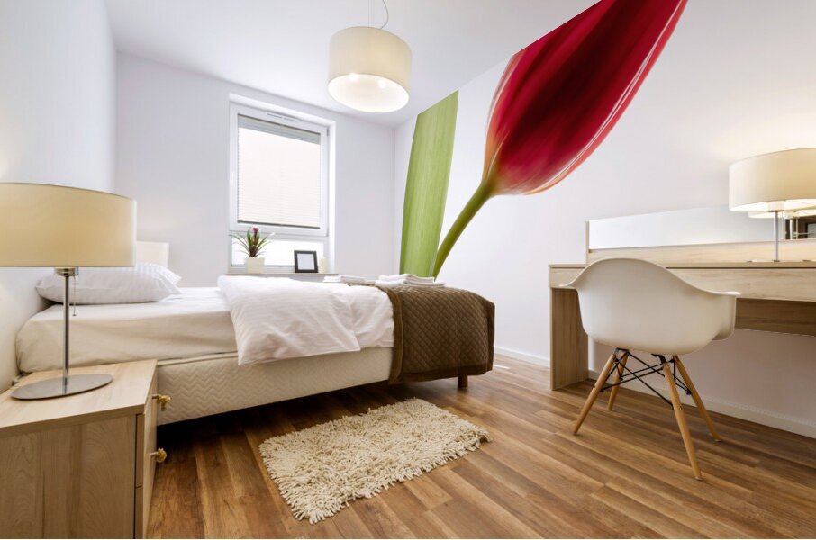 Red Tulip Mural print