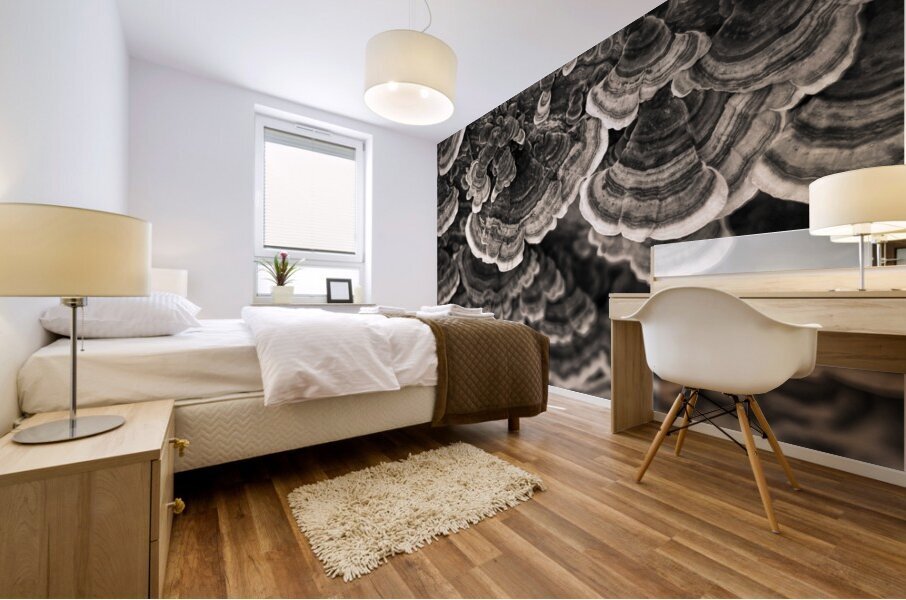 Bracket Fungi Mural print