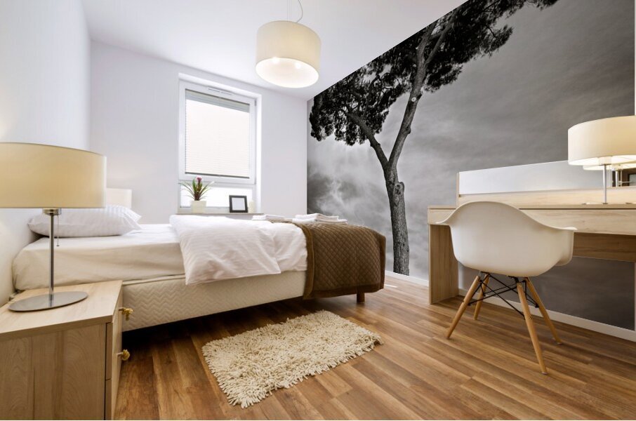 Roman Forum Trees Impression murale