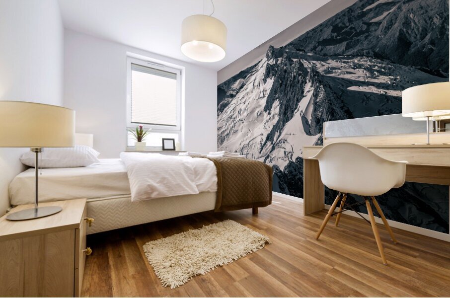 Lone Summit Impression murale