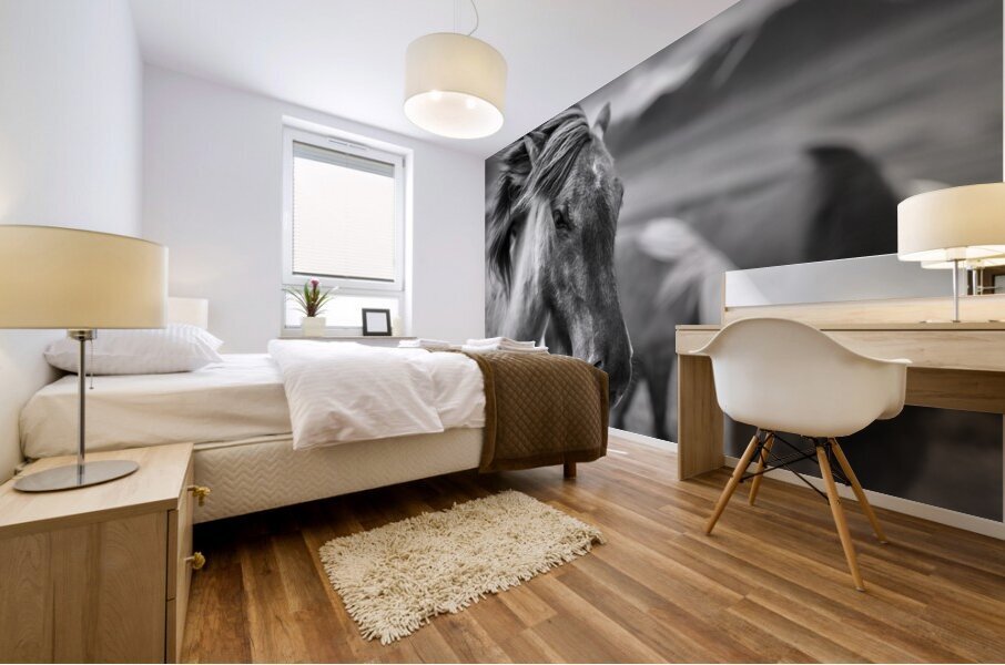 Icelandic Horse Mural print