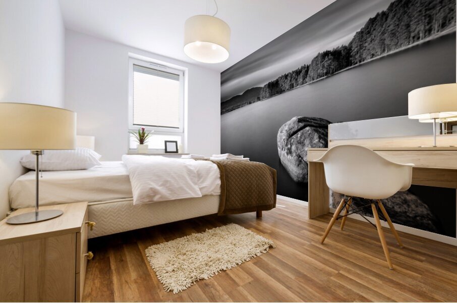 Loch Garten Mural print