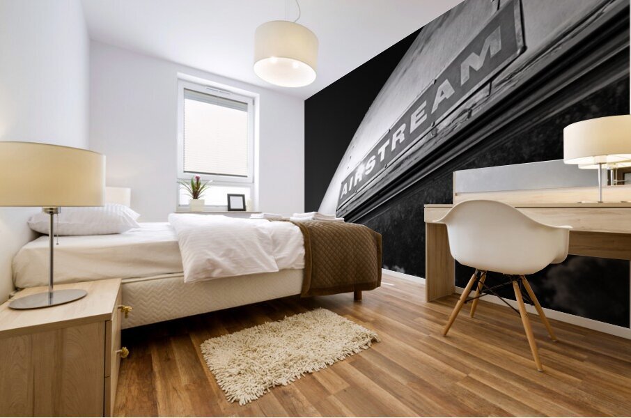 Airstream Mural print