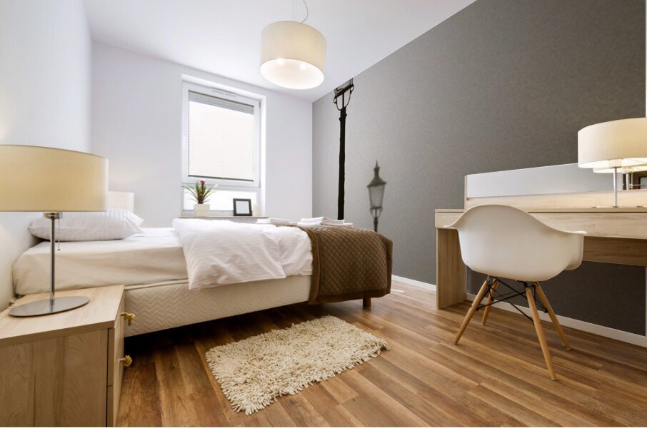 Maastricht Street Lamps Mural print