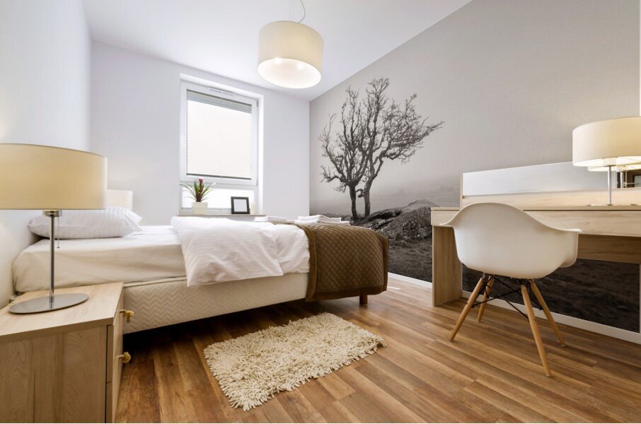 Dartmoor Solitude Impression murale