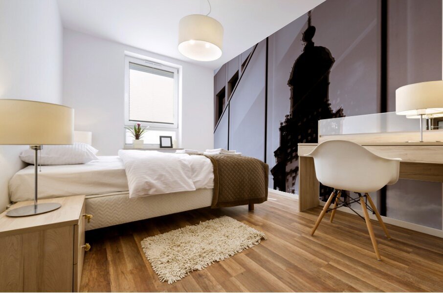 Maastricht Town Hall Reflection Impression murale