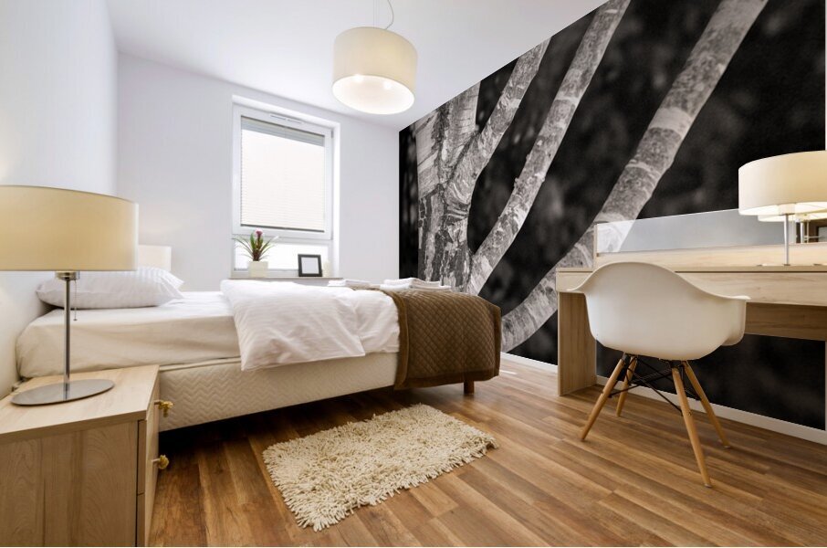 Burghley Birch Tree Impression murale