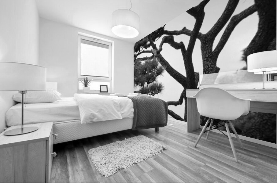 Kokyo Gaien Branches Impression murale