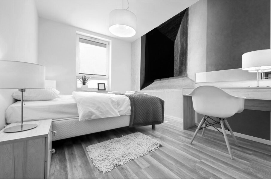 Himeji Castle Window Mural print