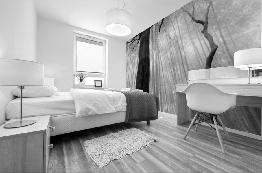 Fractured Rhythm Mural print