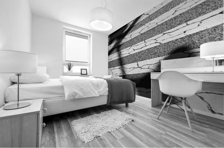 Tokyo Crossing Mural print