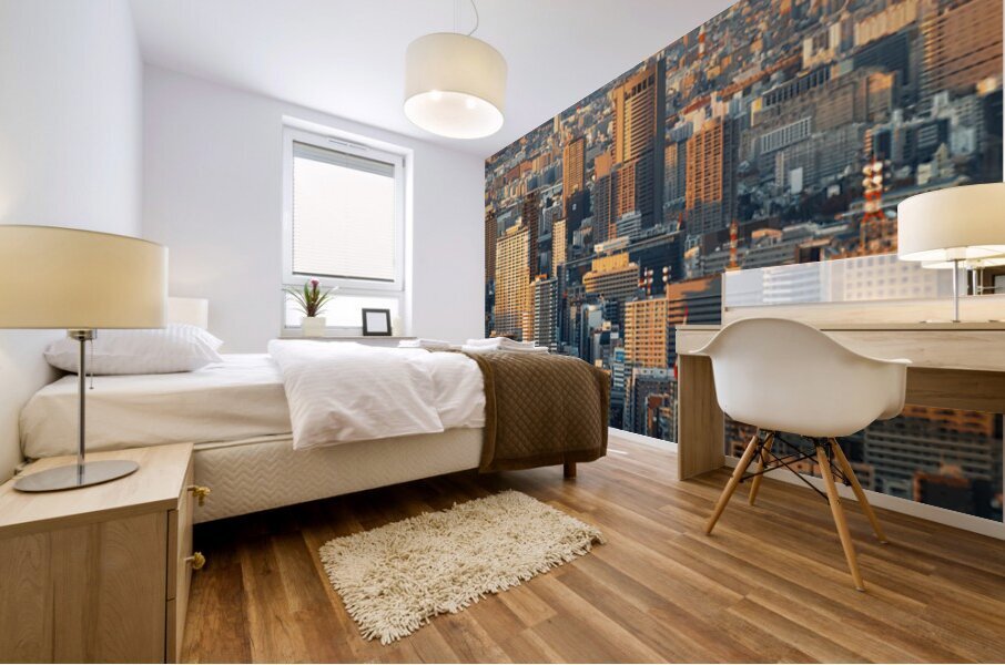 Osaka View Mural print