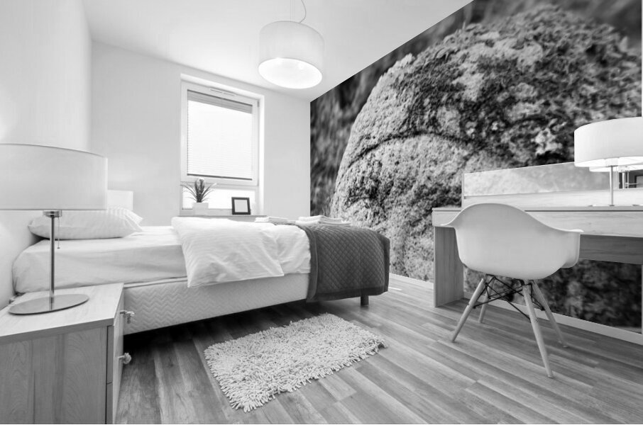 Smiling Rakan Mural print