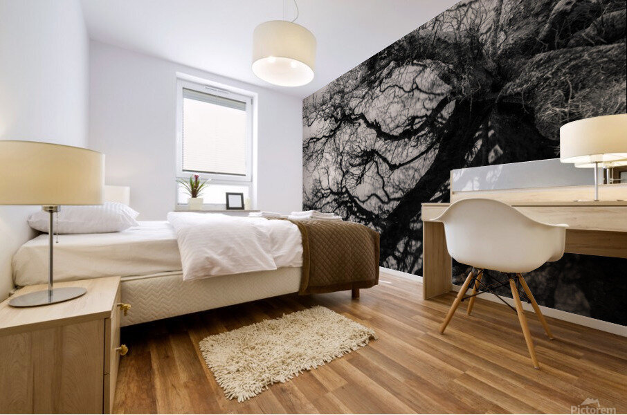 Lochan Na Cuilce Reflections Mural print