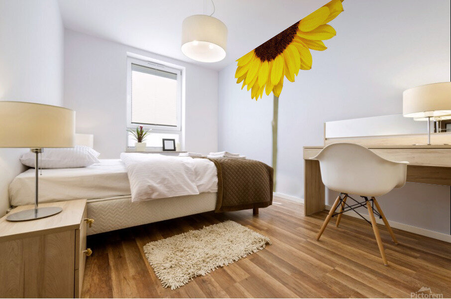 Sunflower Mural print