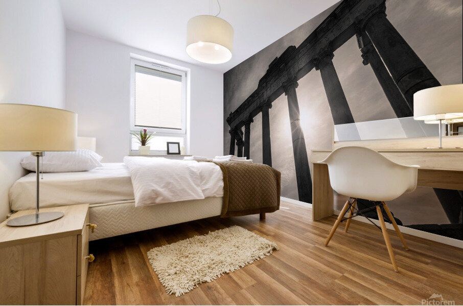 Roman Forum Mural print