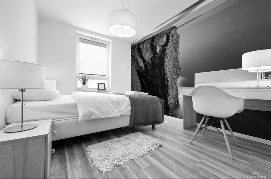 Fowlsheugh Cliffs Impression murale