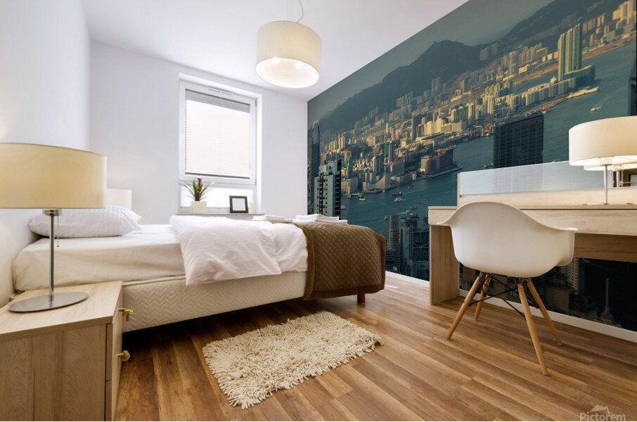 Last Light in Hong Kong Mural print