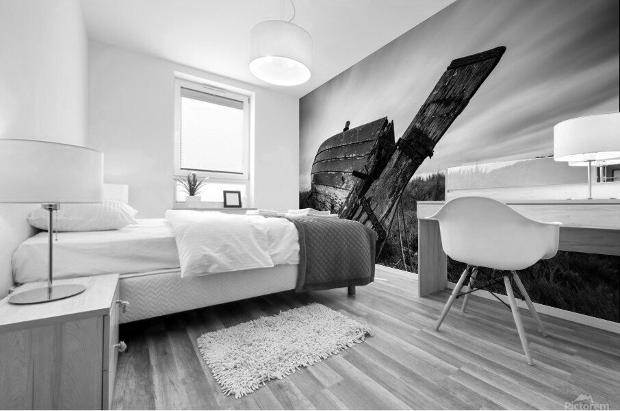 St Cyrus Wreck Mural print