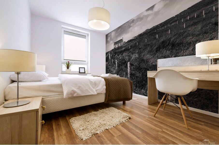 Abandoned Cottage on South Uist Mural print