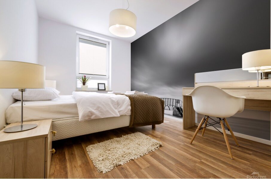 Belhaven Bridge Impression murale