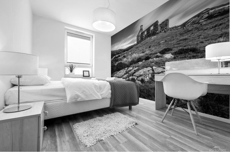 Abandoned Schoolhouse Impression murale