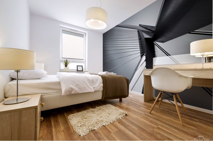 Erasmusbrug Impression murale