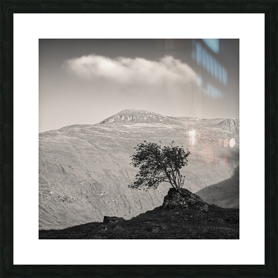 Glen Shiel Tree Impression et Cadre photo