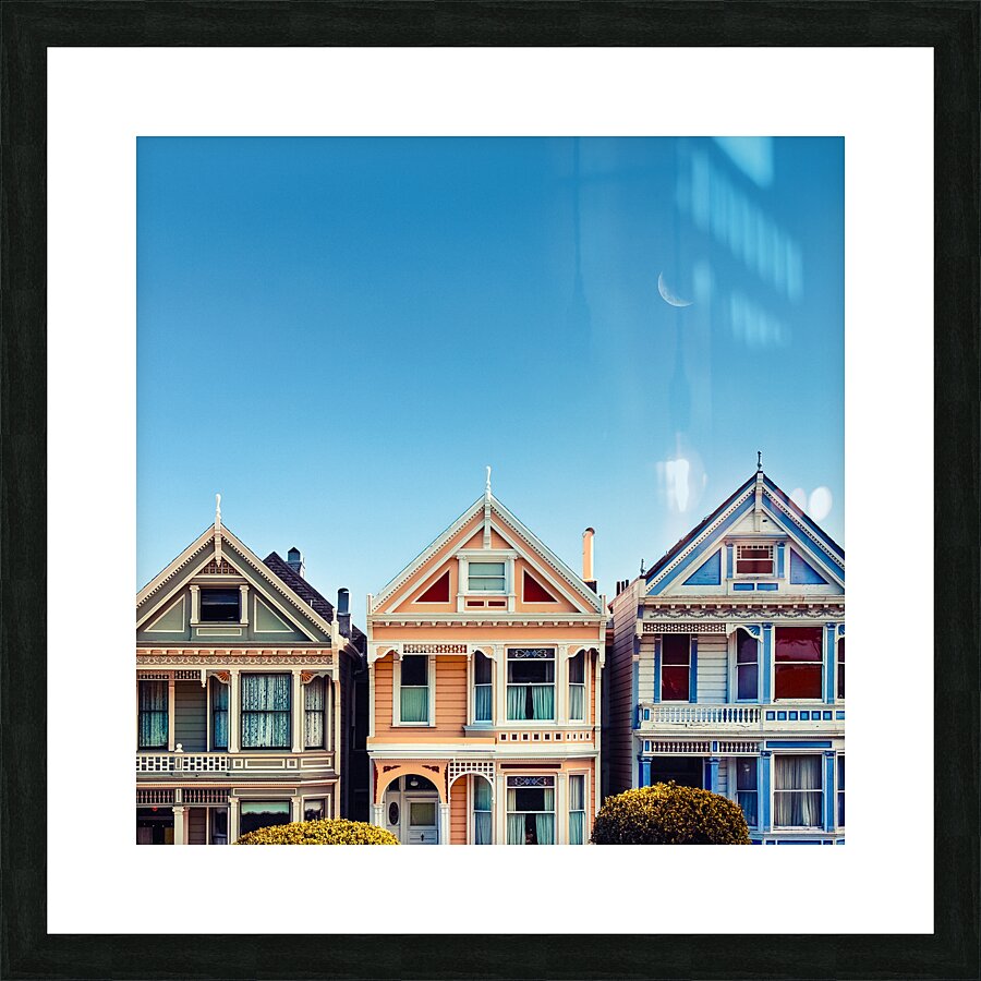 Painted Ladies Picture Frame print