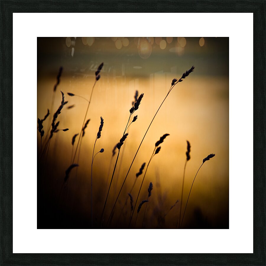 The Field Impression et Cadre photo