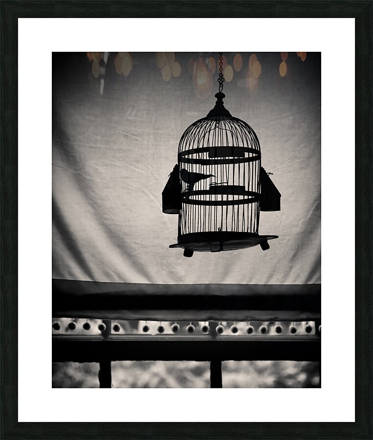 Birdcage Picture Frame print