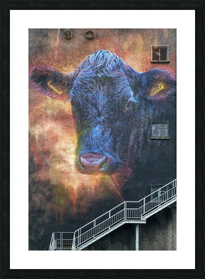 Ballymoney Cow Mural Picture Frame print