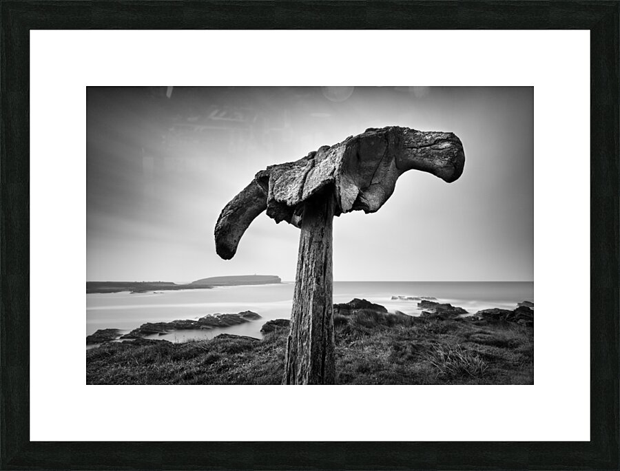 Whalebone Impression et Cadre photo