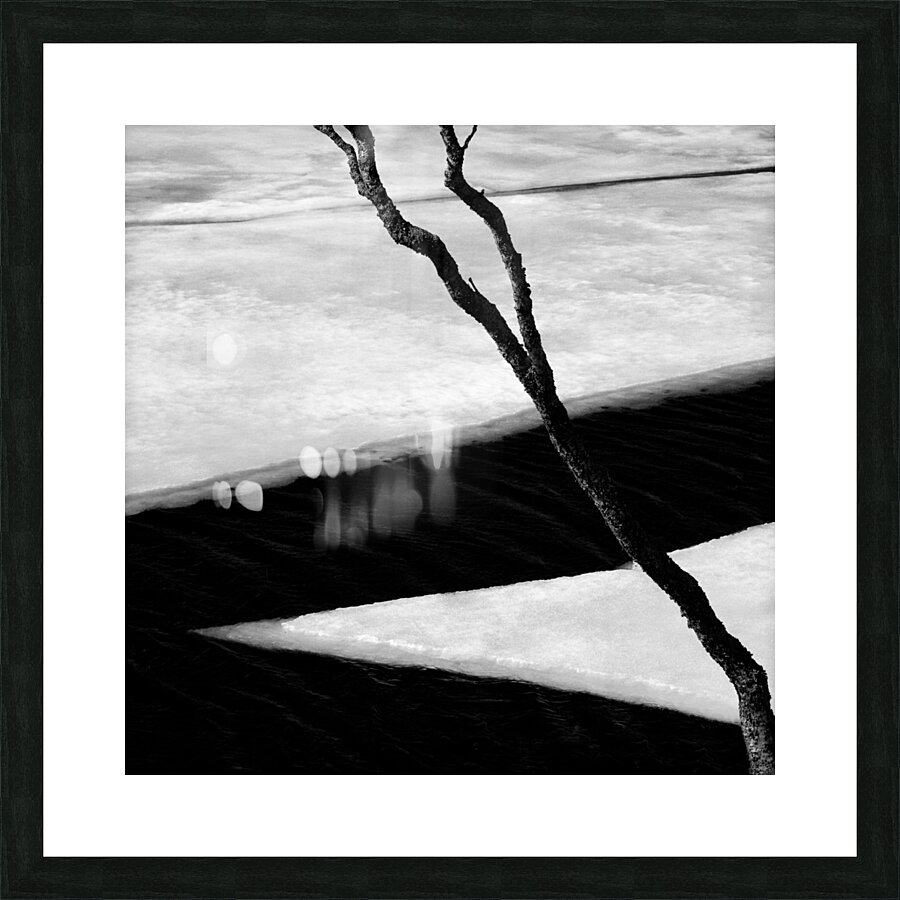 Tree and Ice Picture Frame print