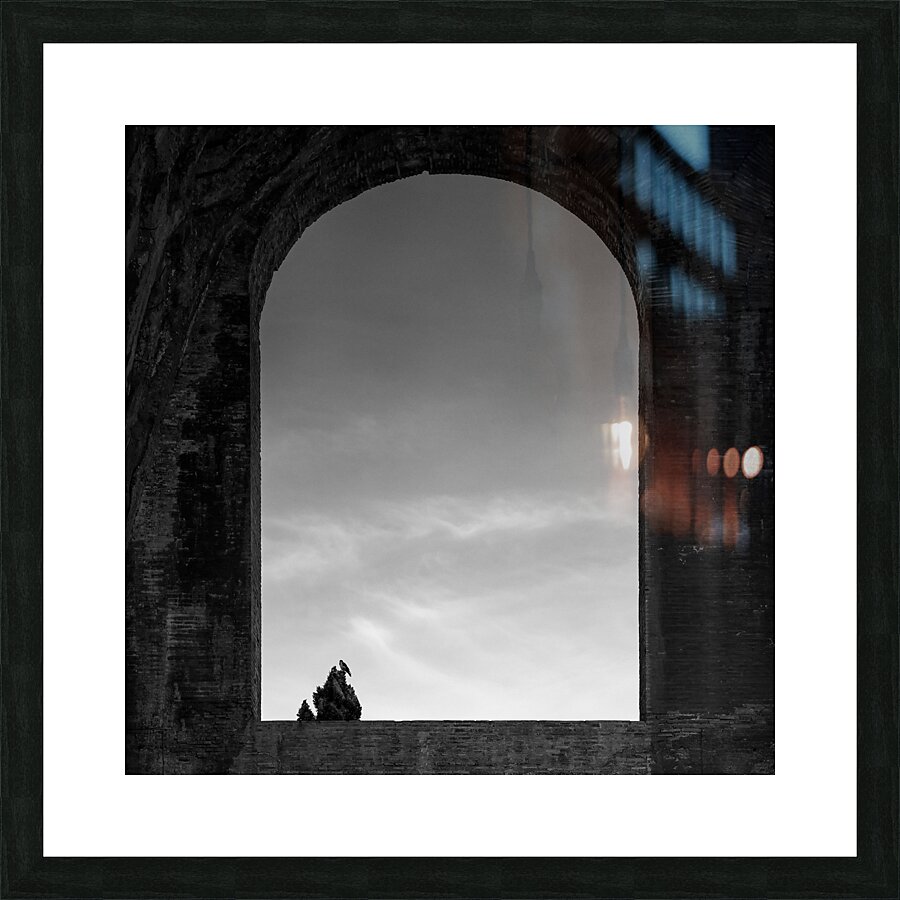 Bird Picture Frame print