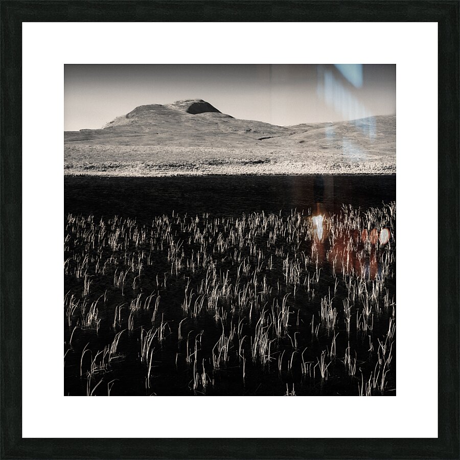 Loch Awe Reeds Picture Frame print