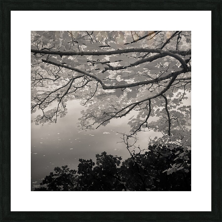 Bosherston Lakes Picture Frame print