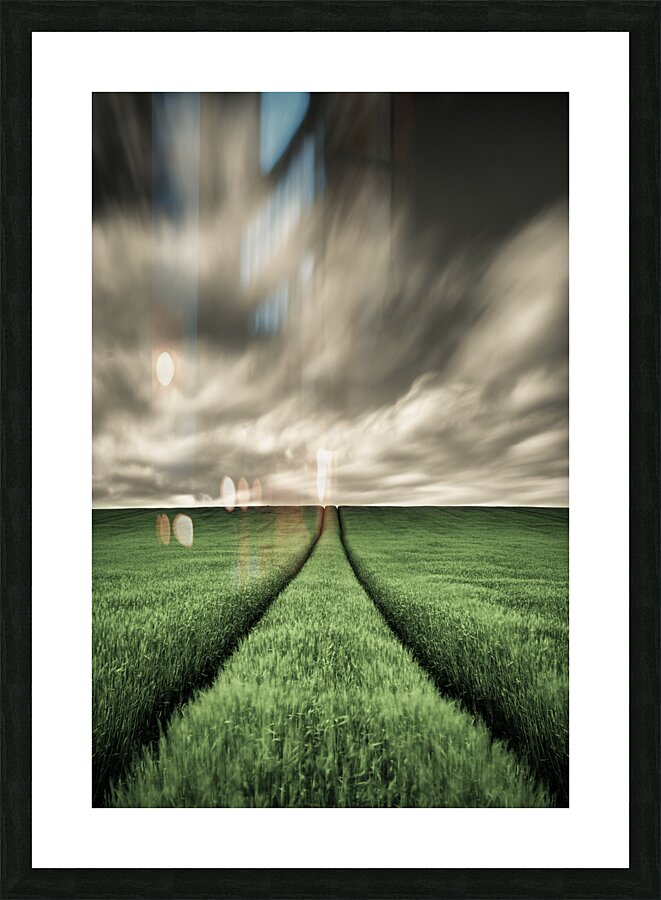Field Tracks Picture Frame print