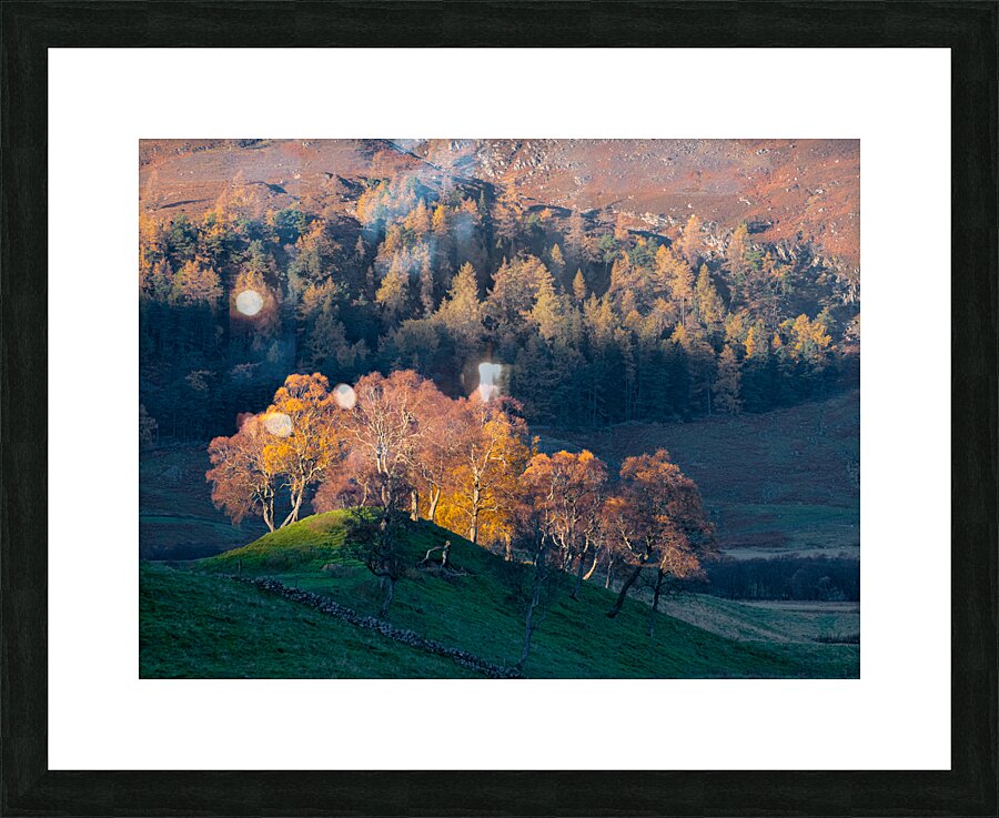 Autumn in Glenshee Picture Frame print