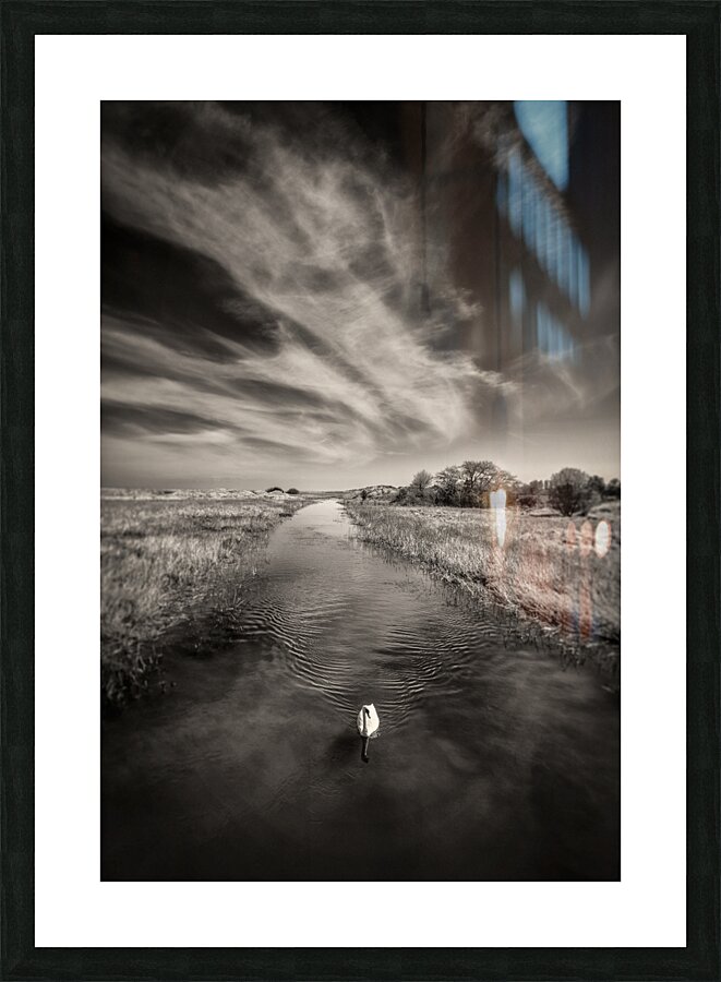 White Swan Impression et Cadre photo