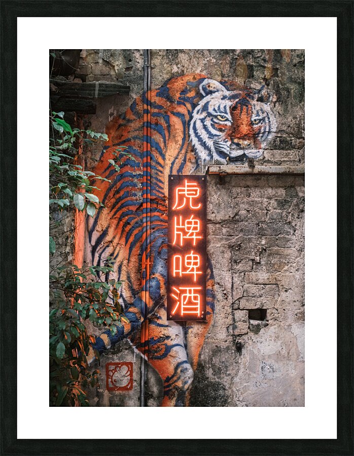 Wall Tiger Impression et Cadre photo