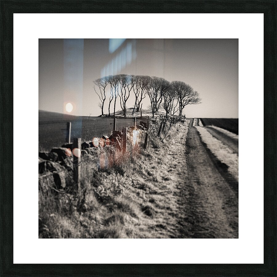 Fields End Grove Picture Frame print